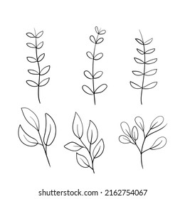 Set of floral element decoration flower leaf and branches hand drawn style.