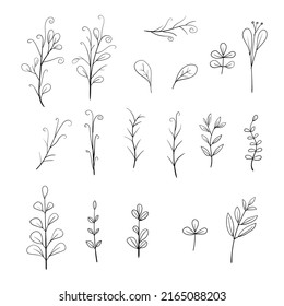 Set of floral element decoration flower leaf and branches hand drawn style.