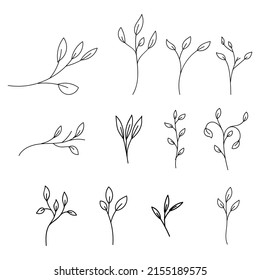 Set of floral element decoration hand drawn style.