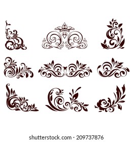 Set of floral element for design. Vector illustration.