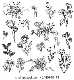 Set of floral element, Natural design,Decoration-hand drawn vector.