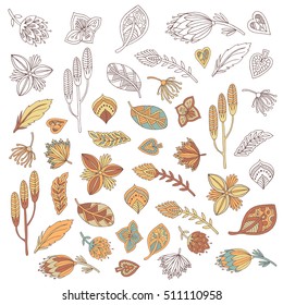 Set floral element. For you design.
