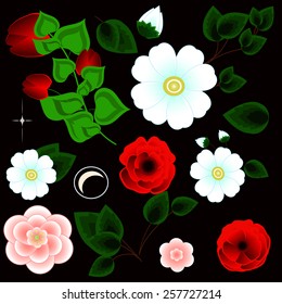 Set of floral elements 