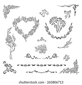 Set of floral elements. 