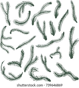 Set of Floral elements