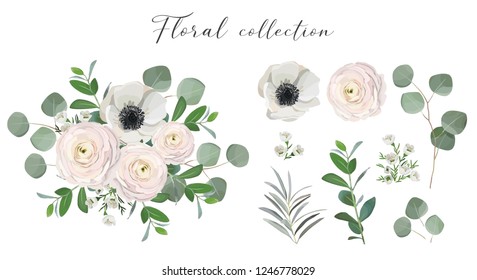 Set of floral elements. anemone ranunculus rose peony flowers, eucalyptus branches and green leaves. Vector arrangements for greeting card or wedding invitation design