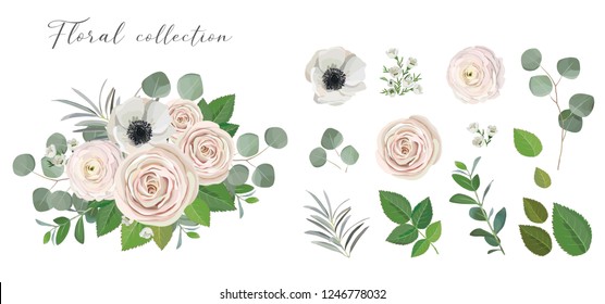 Set of floral elements. anemone ranunculus rose peony flowers, eucalyptus branches and green leaves. Vector arrangements for greeting card or weddong invitation design