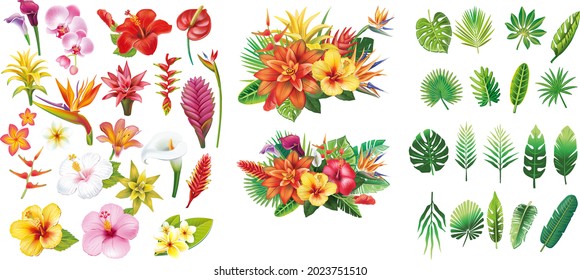 Set of floral elements and Arrangement from tropical flowers and leafs 