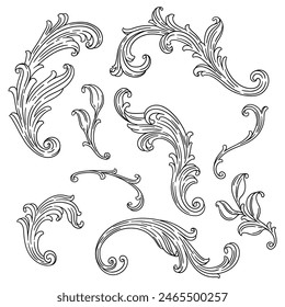 Set of floral elements in baroque style. Decorative curling plant.