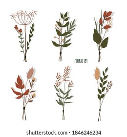 Set of floral elements. Botanical collection. Set of field flowers, herbs. Flowers, leaves, branches and other natural elements. bunches of wild herbs. Vector illustration