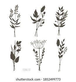 Set of floral elements. Botanical collection. Set of field flowers, herbs. Flowers, leaves, branches and other natural elements. bunches of wild herbs. Vector illustration