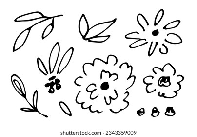 Set of floral elements, branches with leaves, twigs, flowers. Simple black outline vector drawing. Sketch in ink.