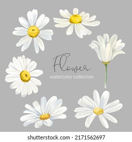 Set of floral elements. Collection set of flower watercolor style for printing, wedding, decorate, flower shop, business card vector illustration 
