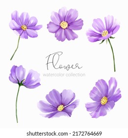 Set of floral elements. Collection set of flower watercolor style for printing, wedding, decorate, flower shop, business card vector illustration 