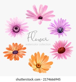 Conjunto de elementos florales. Conjunto de colecciones de flores acuarela estilo para impresión, boda, decoración, florería, tarjeta de visita ilustración vectorial 