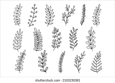 Set of floral elements, decorative branches, leaves. Vector illustration