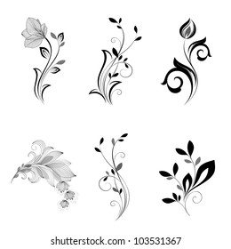 Set of floral elements for design.