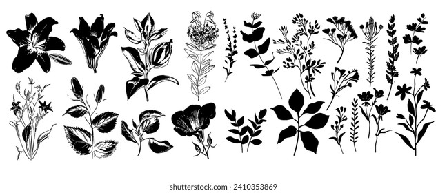 Set of floral elements for design.