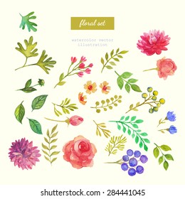 set of floral elements for design