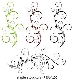 Set of floral elements for design.