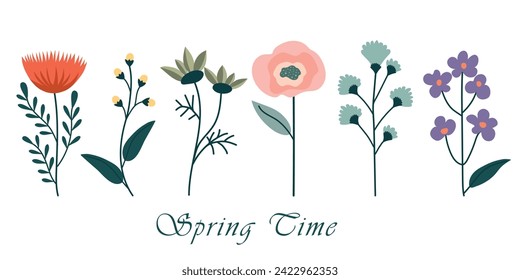 Set of floral elements. Flower, buds and green leaves. Spring holiday concept. Vector illustration for the design of greeting cards or invitations.