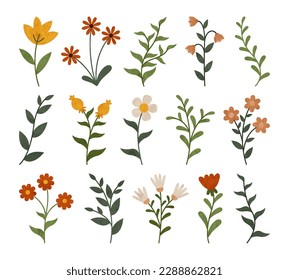 Set of floral elements. Flower collection with leaves.