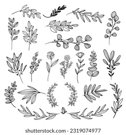 Set of floral elements. flower collection with flowers, leaves, herbs. Vector design isolated on white background.