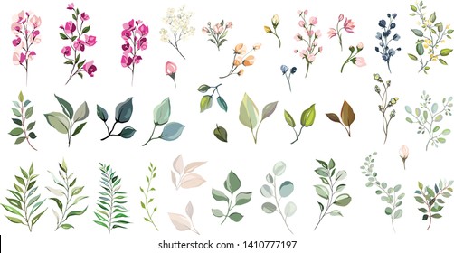 Set de elemente florale. Flori şi frunze verzi. Conceptul de nunta - flori. Afiş cu flori, invitaţie. Aranjamente vectoriale pentru proiectarea felicitărilor sau a invitațiilor