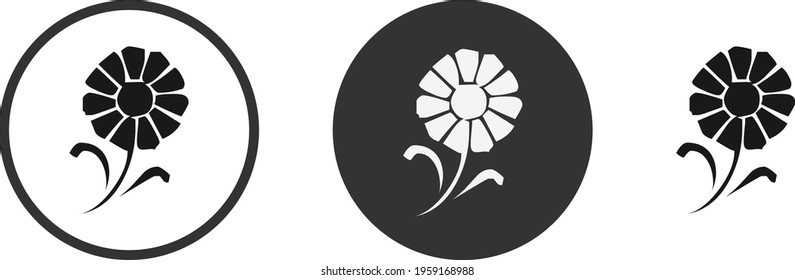 Set of floral elements. Flower and green leaves. Wedding concept - flowers. Floral poster, invite. Vector arrangements for greeting card or invitation design