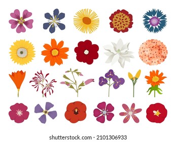 Set of floral elements. Flower and green leaves. Wedding concept - flowers. Floral poster, invite. Vector arrangements for greeting card or invitation design