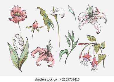 Set of floral elements. Flower and green leaves. Wedding concept - flowers. Floral poster, invite. Vector arrangements for greeting card or invitation design.