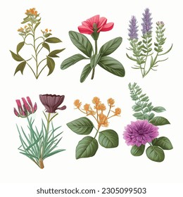 Conjunto de elementos florales. Flores y hojas verdes. Concepto de bodas - flores. Afiche floral, invitación. Disposiciones de vectores para el diseño de tarjetas de felicitación o invitaciones