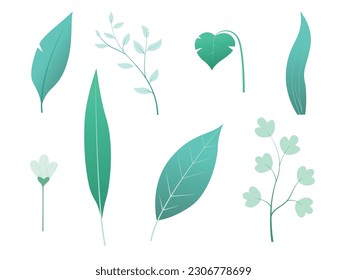 Set of floral elements. Flower and green leaves