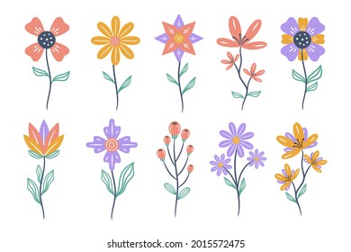 Set of floral elements. Flower and leaves Isolated On White Background