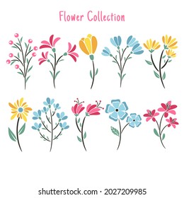Set Of Floral Elements Flower and Leaves, Flower Collection