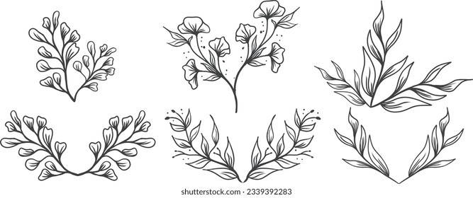 Set of floral elements, flower, leaves. Hand drawn sketch pencil style 