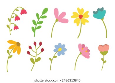 Conjunto de Elementos florales. Flor y hojas aisladas sobre fondo blanco