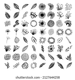 Set of floral elements. Flower and Monochrome leaves. Wedding concept - flowers. Floral poster, invite. Vector arrangements for greeting card or invitation design