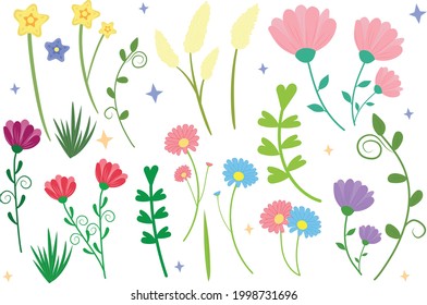 Set floral elements. Garden flower, forest flower, plants, botanical, vector design. Flowers and colorful natulaez elements, natural elements, green leaves. Pink rose, Red flower, greeting cards.