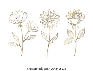 Set von Blumenelementen für Grafik und Design Vektorgrafiken 03 Linienzeichnung von Gold