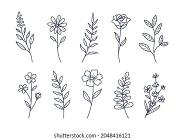 Set of floral elements for graphic and design Vector illustrations 02 Line-drawing