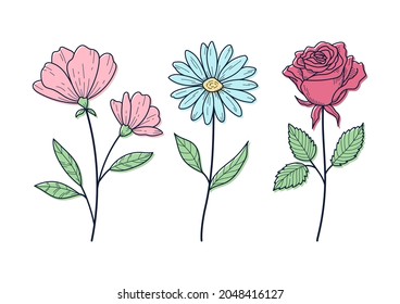 Set of floral elements for graphic and design Vector illustrations 03 Line-drawing and color