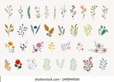 Set of floral elements for graphic and web design. Vector illustrations for beauty, fashion, natural and organic products, spa and wellness, wedding and events, environment. 