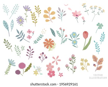 Set of floral elements for graphic and web design. Vector illustrations for beauty, fashion, natural and organic products, events, .Spring summer autumn winter Cherry blossom Sakura  Autumn