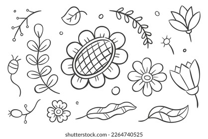 Set floral elements. Hand drawn vector illustration