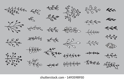 Set of floral elements isolated on grey background. Hand drawn leaves for unique design. Doodle nature