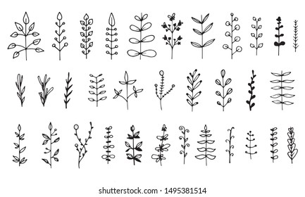 Set of floral elements isolated on white background. Hand drawn  leaves for your design. Doodle nature