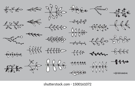 Set of floral elements isolated on grey background. Hand drawn leaves for unique design. Doodle nature