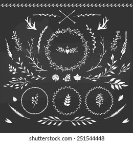 set of floral elements: leaves, flowers, branches and wreathes