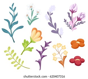 Set with floral elements and leaves.decorative elements for your design. Leaves, swirls, floral Flat design style vector illustration